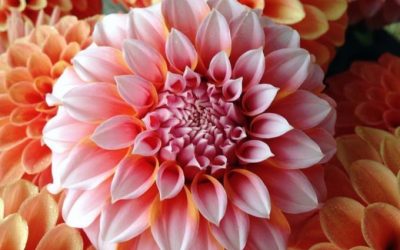 Try Some Natural Beauty For A Fresh Start And Big Dose Of Self-Love!