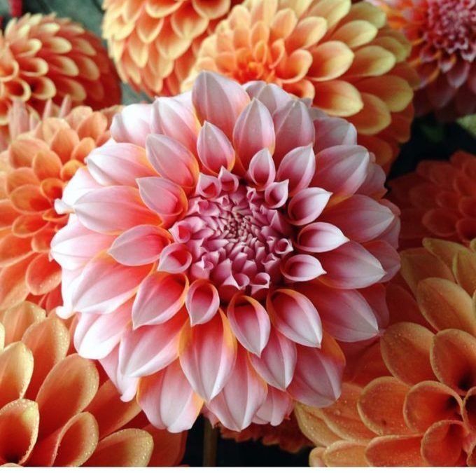 Try Some Natural Beauty For A Fresh Start And Big Dose Of Self-Love!