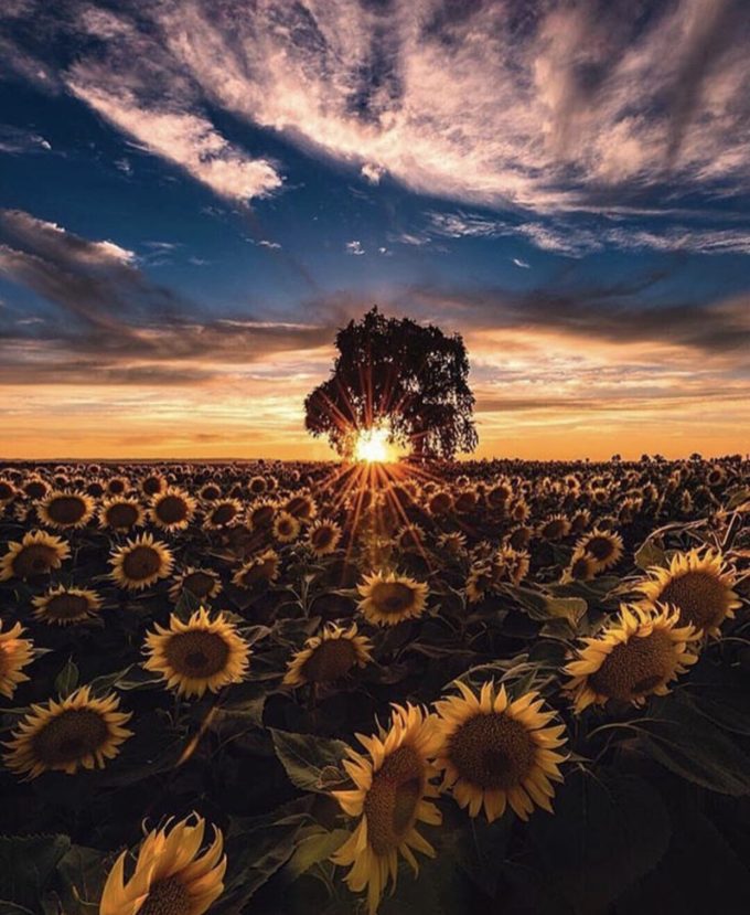 Bruce Getty Photography