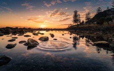 The Ultimate Feng Shui To Shine Brighter & Live Without Limits Every Day!