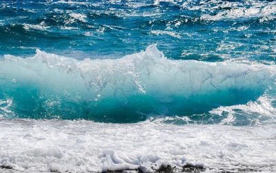 Are You Ready To Dive In And Make A Huge Change?