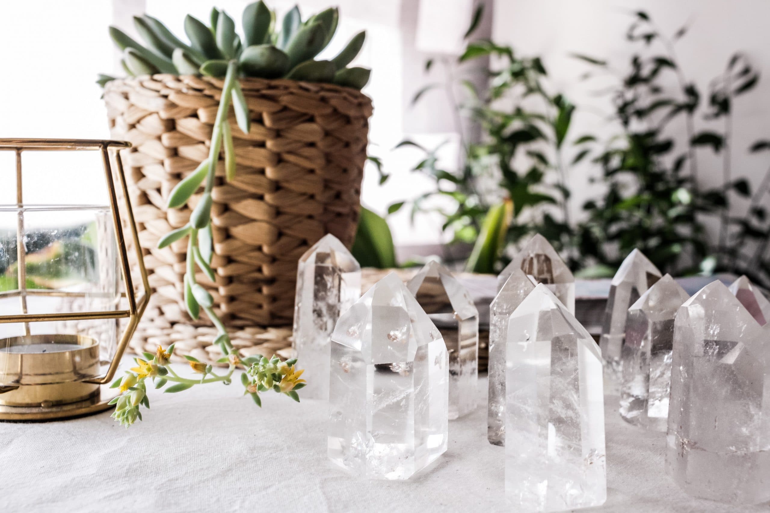 bring your dreams to life