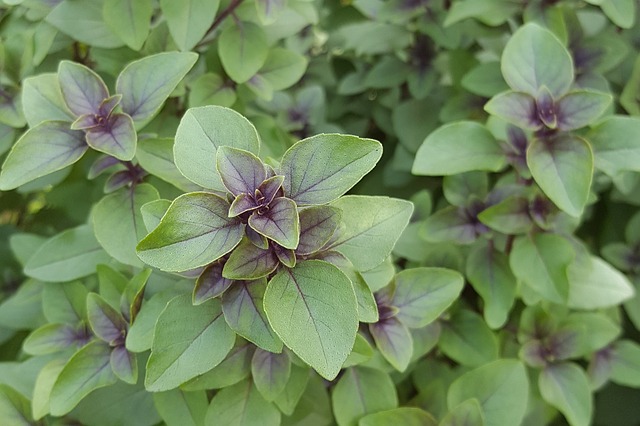 Herbal Teas For Powerful Self Care Tea Time!