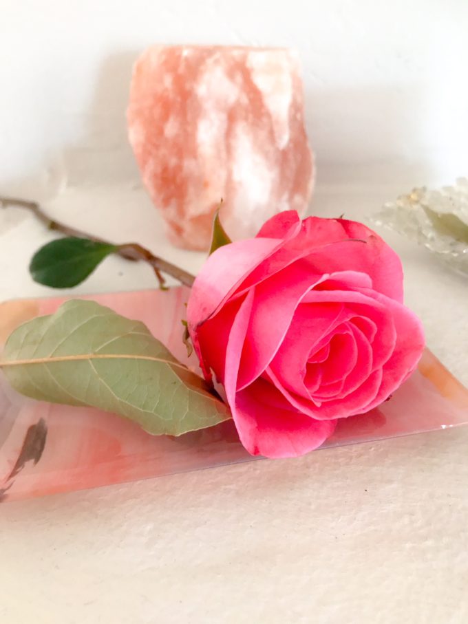roses