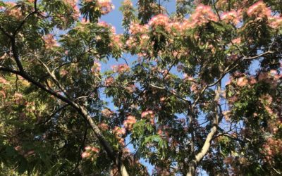 Moving Into Abundant Living When You’ve Gotten Used To Feeling A Lack