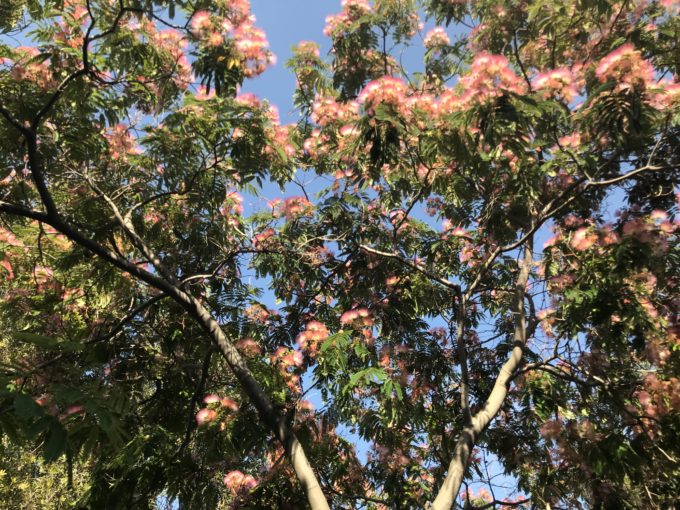 Moving Into Abundant Living When You’ve Gotten Used To Feeling A Lack