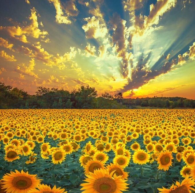 Raise Your Energy Higher And Everything You Do Will Be Richer!