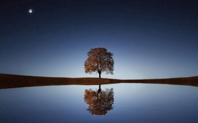 Here’s One Big Way To Move From Intention To Manifestation Very Easily!