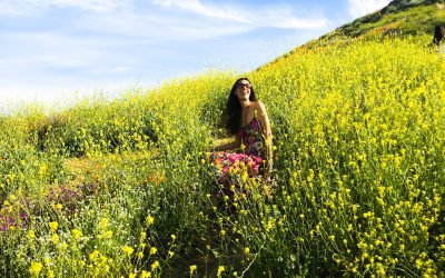 8 Feng Shui Ways To Fill Your Days With Manifesting Magic!