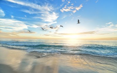 10 Of The Habit Switches That Have Expanded My Life In Abundant Ways!