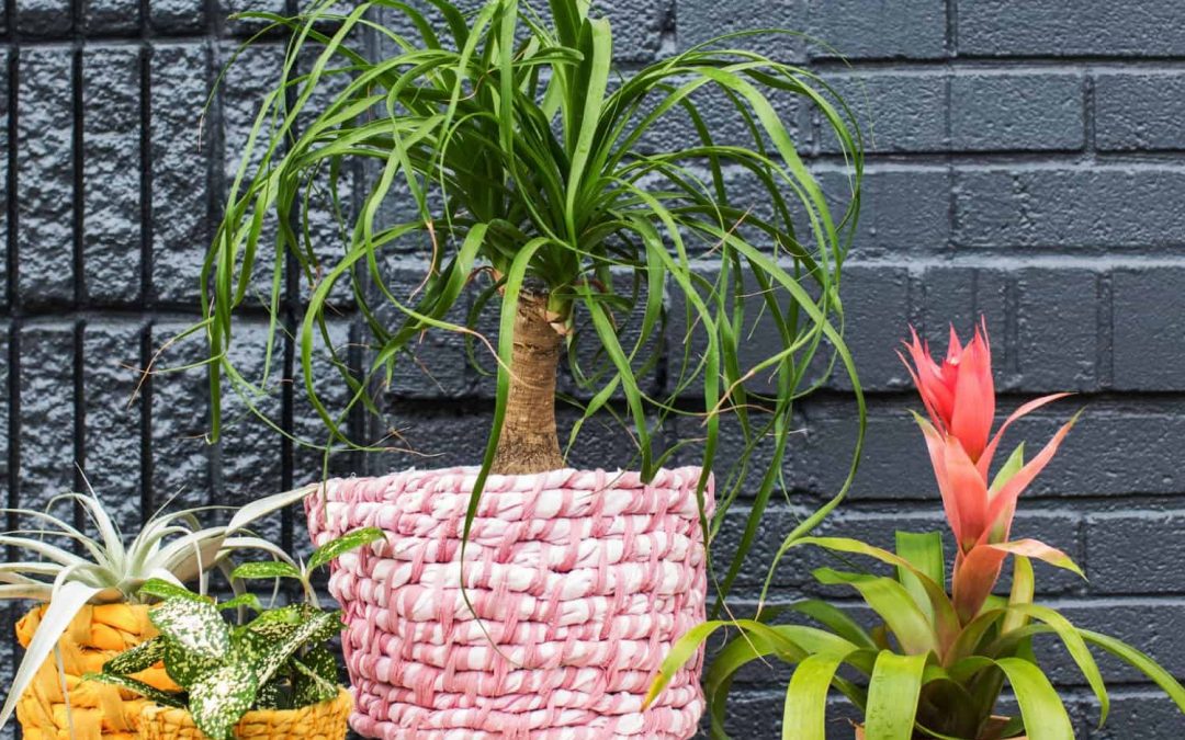 9 Small Feng Shui Home Upgrades That Bring More Power To Your Space!