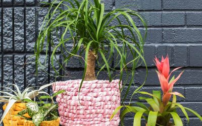 9 Small Feng Shui Home Upgrades That Bring More Power To Your Space!