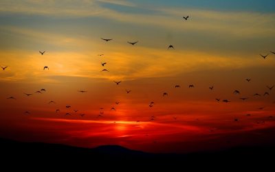 Expand Your Leadership Power And Change The World Around You