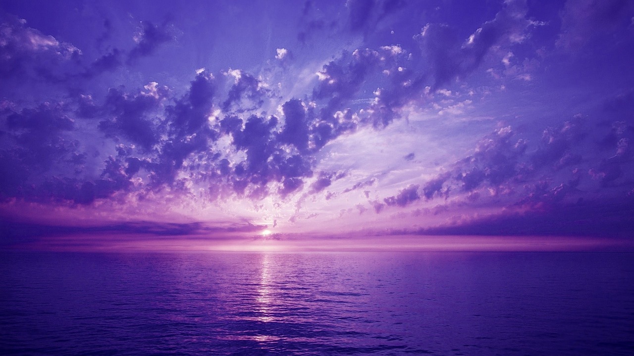 violet-669046_1280