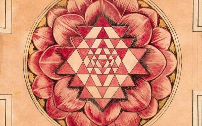 The Powerful Basics of Manifesting Using Feng Shui!