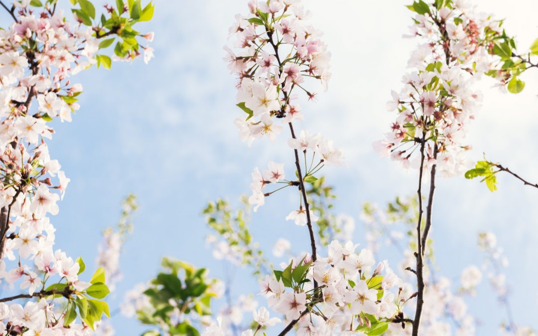 An Idea To Make Your Days More Inspired And Productive!