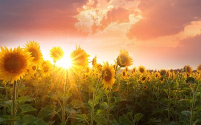 Thrive By Clearing Every Bit Of Negative Energy That Keeps You Stuck In The Past!