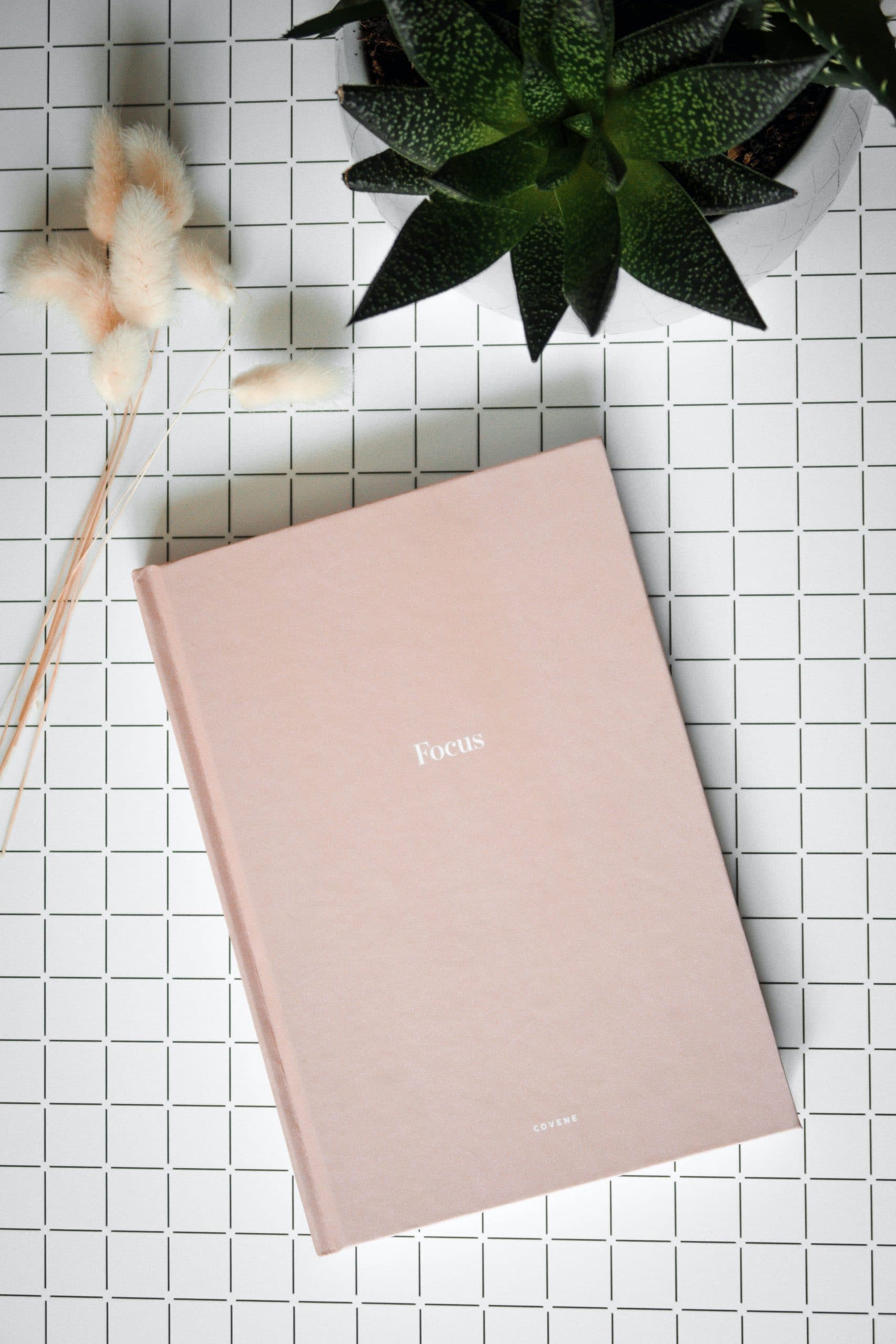 reorganize your life