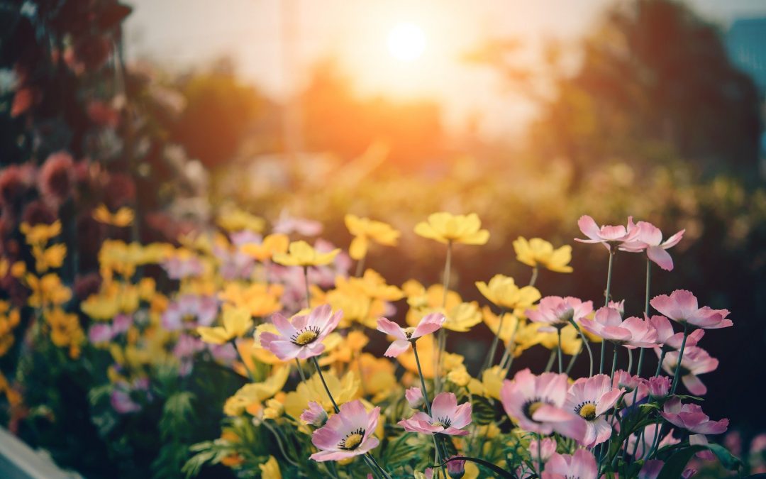 Make The Most Of The Breaks You Take To Revitalize Yourself!