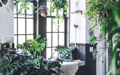 Bring Your Potential To Life In Bigger Ways With Feng Shui!