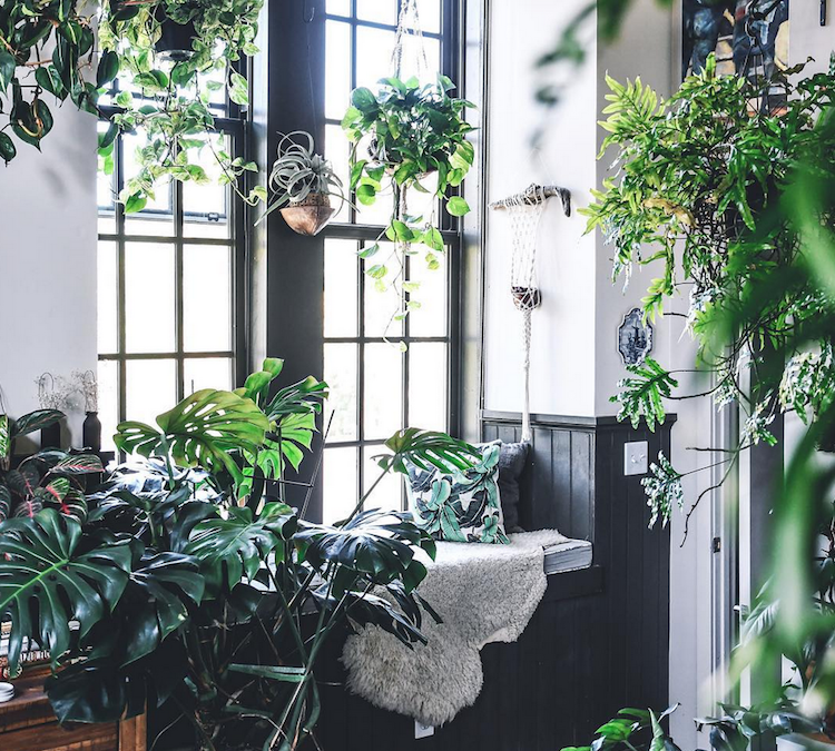 Bring Your Potential To Life In Bigger Ways With Feng Shui!