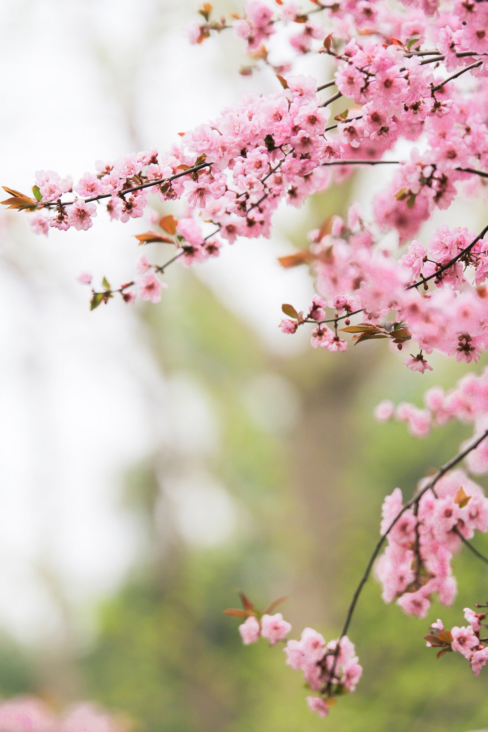 hunt-han-4QdIiHPLnfI-unsplash