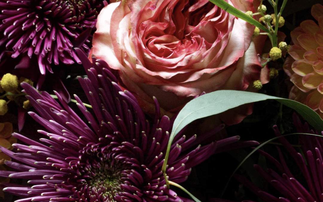 Creative Feng Shui Energy Shifts To Wake Up Your Manifesting Power!