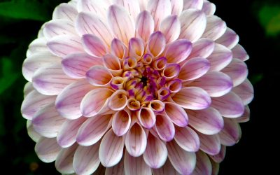 5 Ways To Focus On What Matters Most All Day Long!