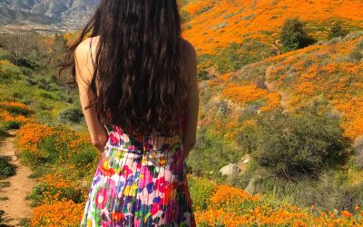 2021 Spring Equinox Feng Shui!