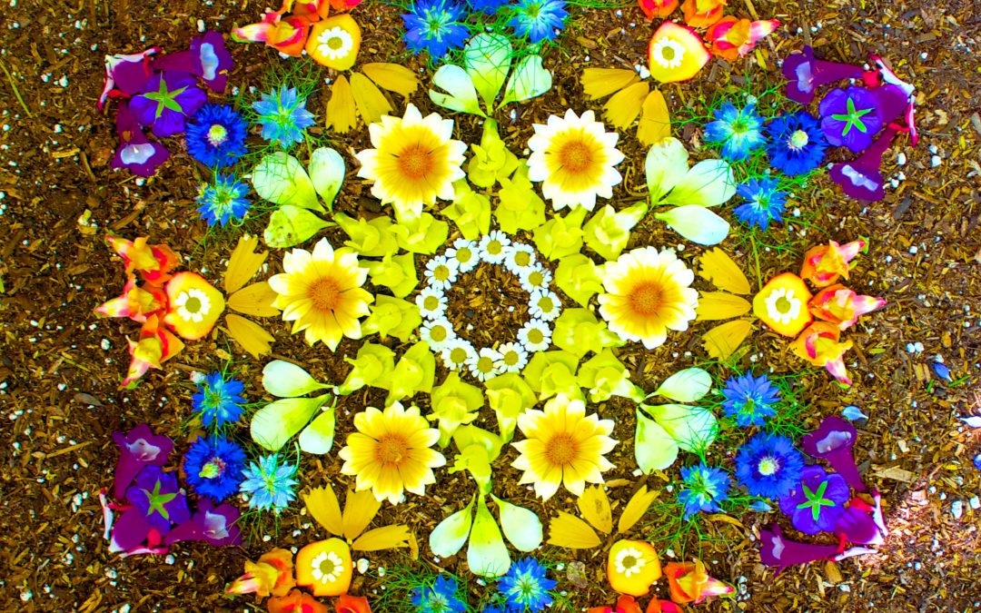 The Magnetic And Prosperous Power Of Enjoying Your Life Fully!
