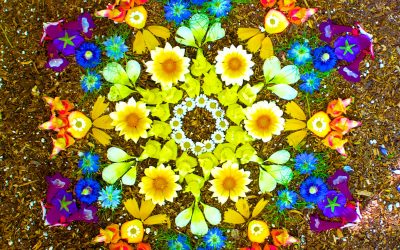 The Magnetic And Prosperous Power Of Enjoying Your Life Fully!