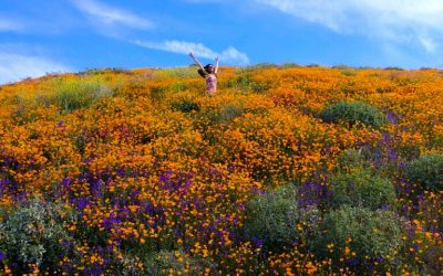 Spring Clean In Ways That Bring You Tons Of Abundance!