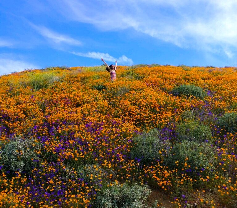 Spring Clean In Ways That Bring You Tons Of Abundance!