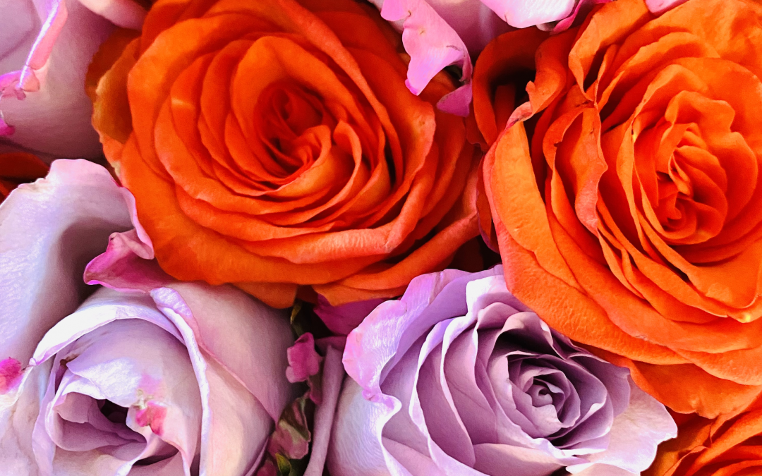 5 Feng Shui Tips To Manifest More Of You Want!