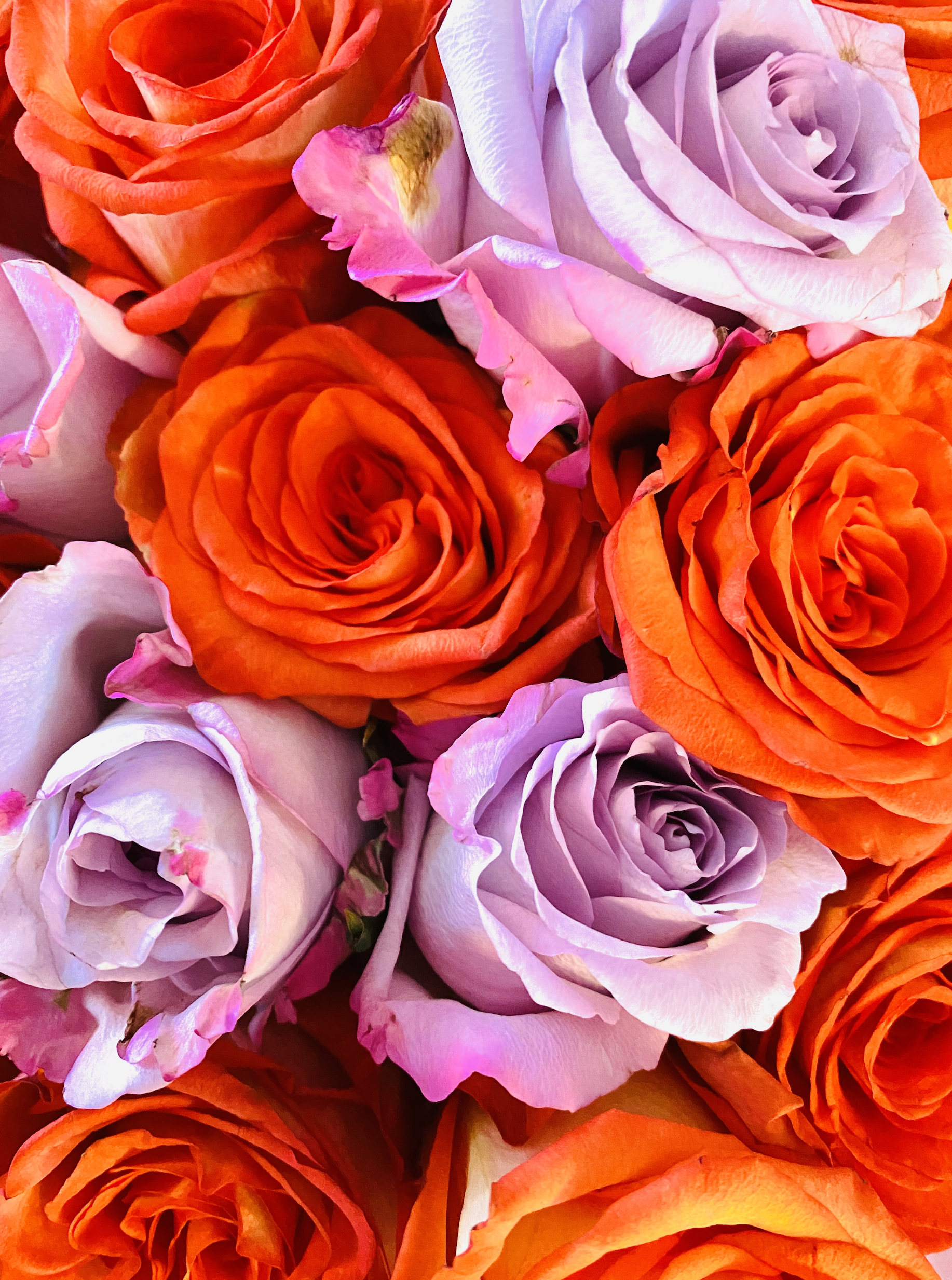 Feng Shui To Manifest More