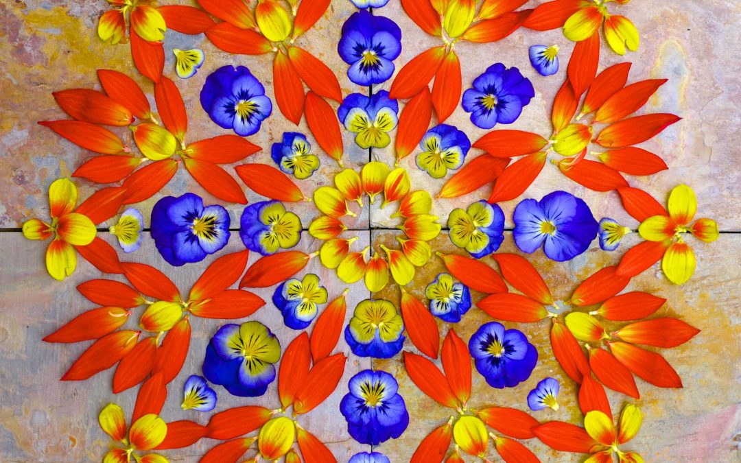 Nature Magic For The Summer Solstice And The Season Ahead!