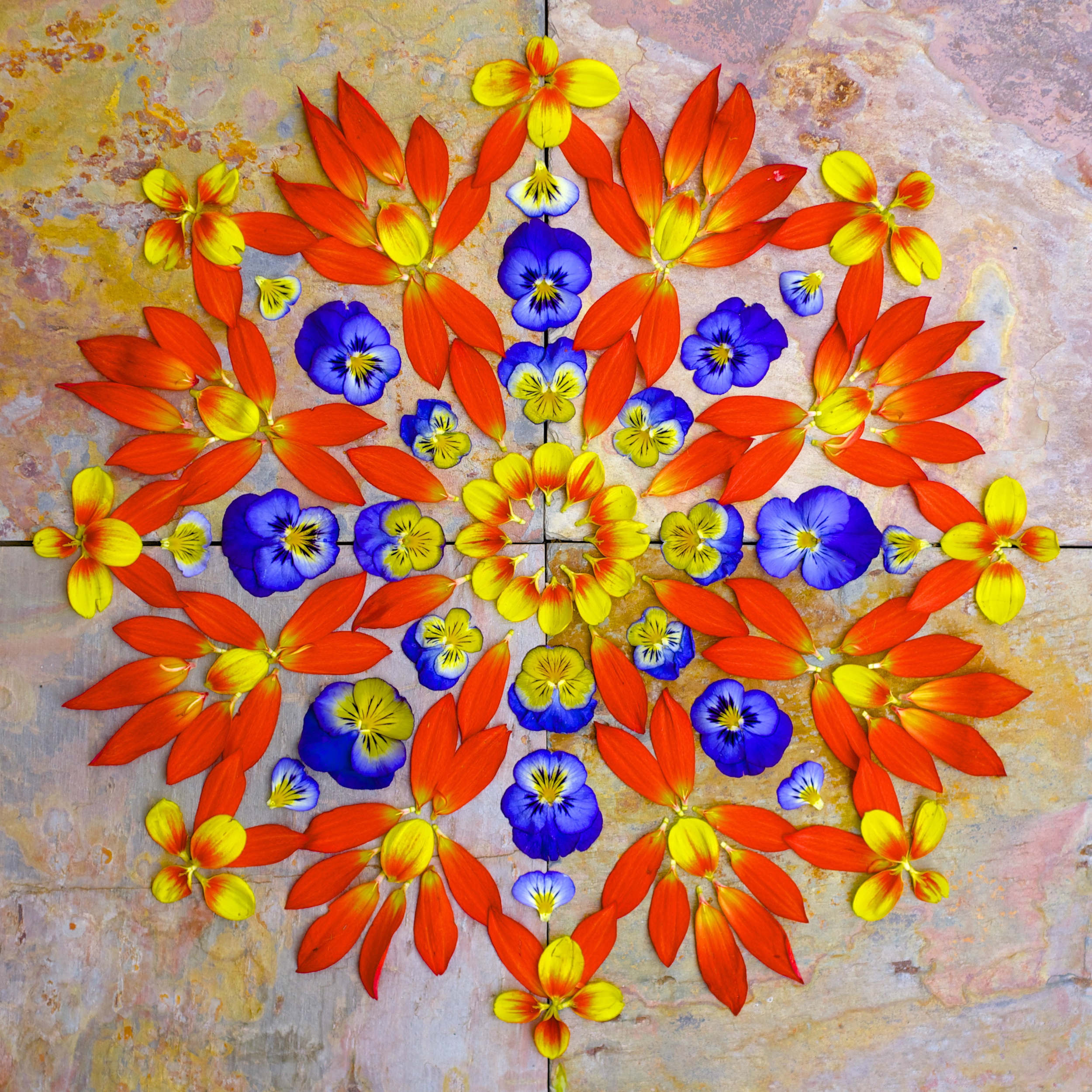 danmala687-1_2500_c