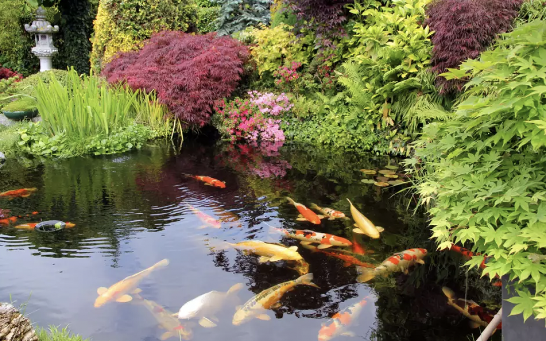 Three Ways To Prioritize Joy And Multiply Your Success!