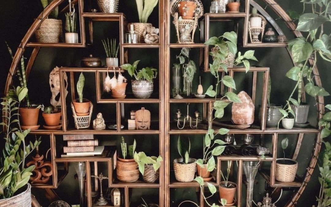 Feng Shui To Embrace Challenges As You Grow And Thrive!
