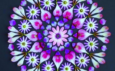 Mercury Retrograde In Libra Feng Shui Is Abundant And Amazing!