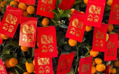 Aquarius New Moon And 2022 Lunar New Year Feng Shui!