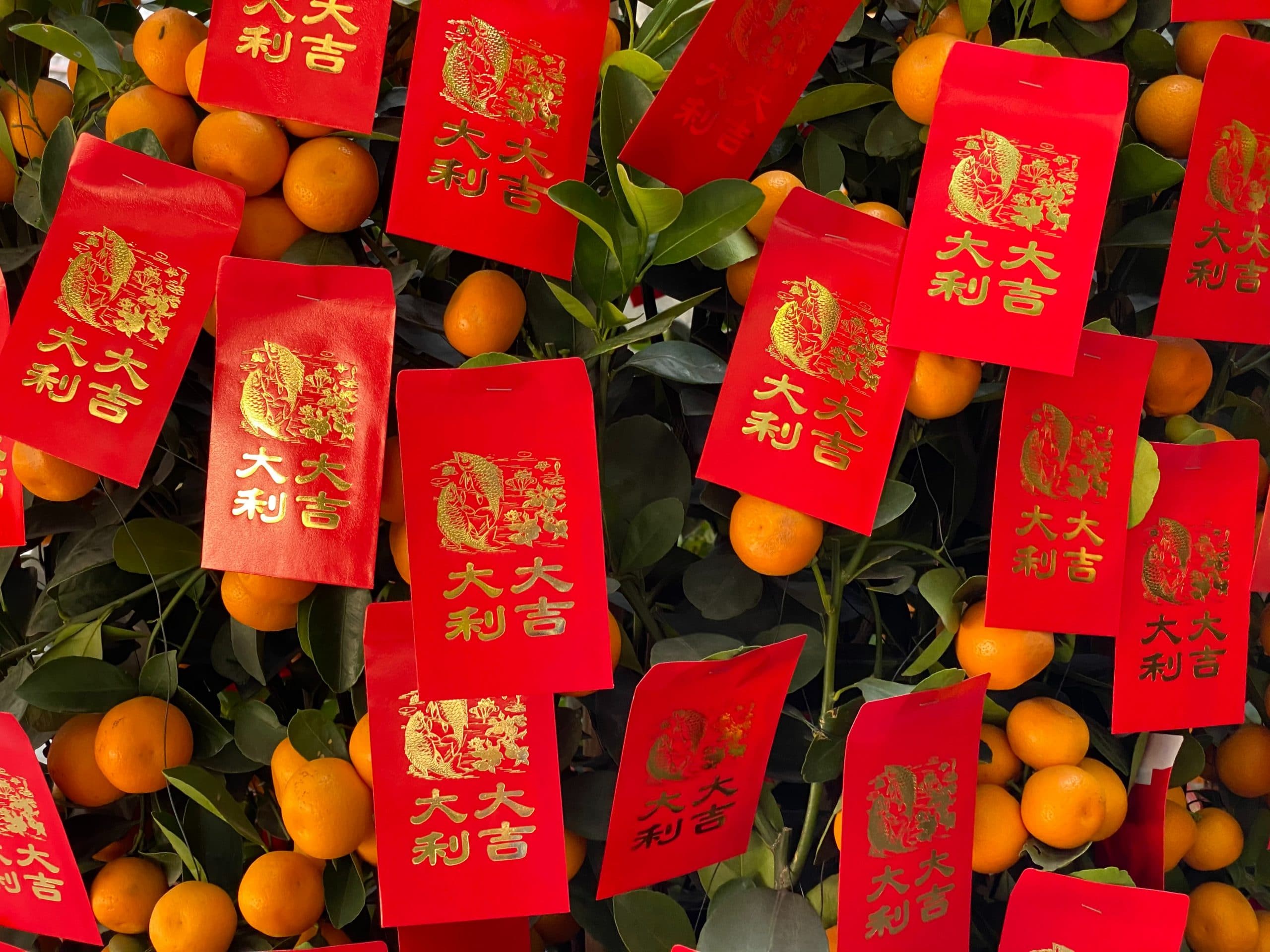 yuwei-shaw-Oh15EWXAMvI-unsplash aquarius new moon 2022 year of the water tiger