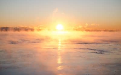 Harness Your Energy To Transform Your Life