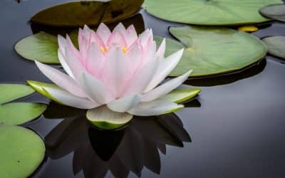 Feng Shui To Maintain Your Momentum And Finish Big Things