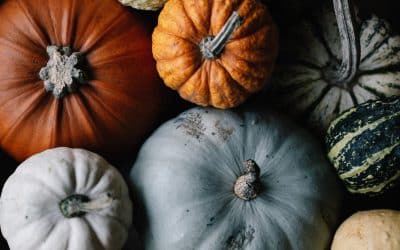 Fall Equinox 2022 Feng Shui!
