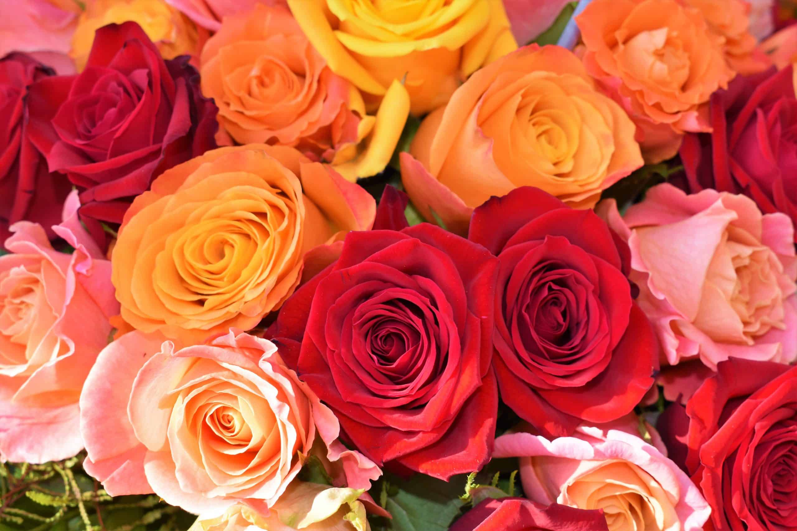 waldemar-sycOtFg3SBc-unsplash fragrant flower ritual
