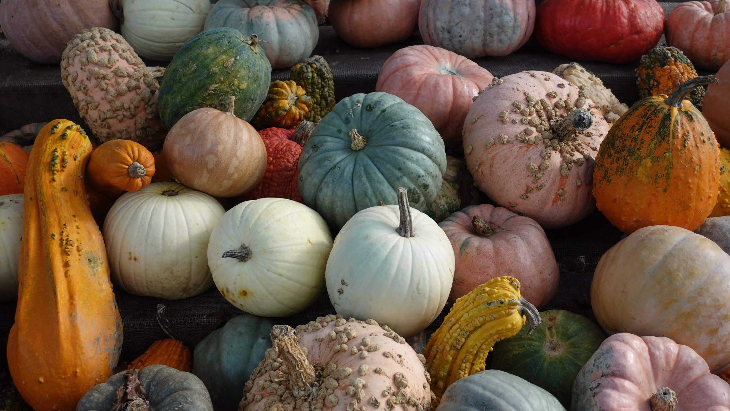 Fall Equinox 2023 Feng Shui