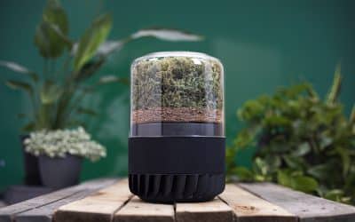 My Favorite Air Purifier Just Got An Upgrade!