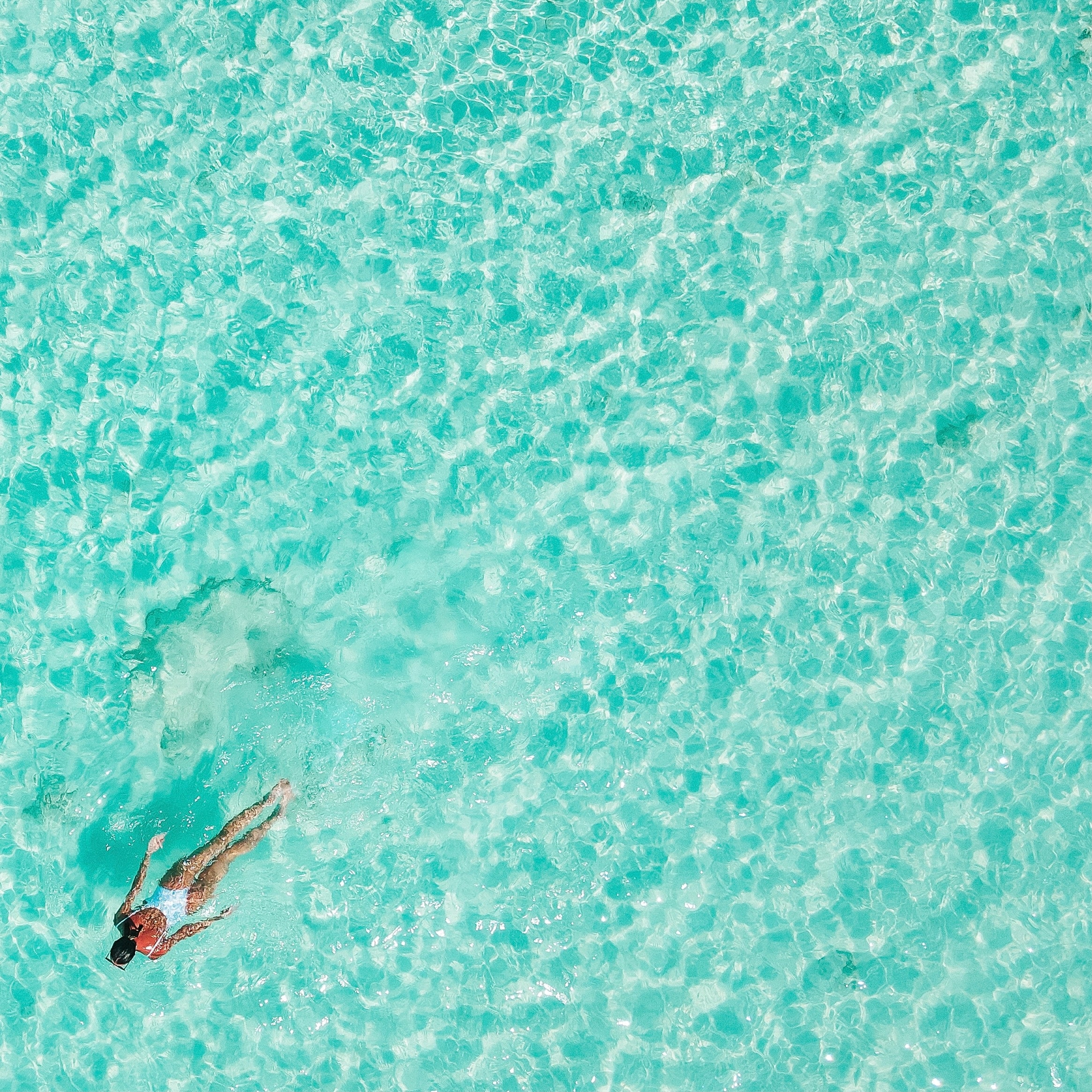 immersion will speed your dreams to life