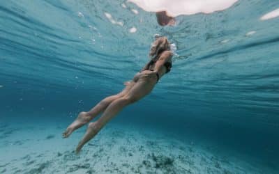Immersion Will Speed Your Dreams To Life!